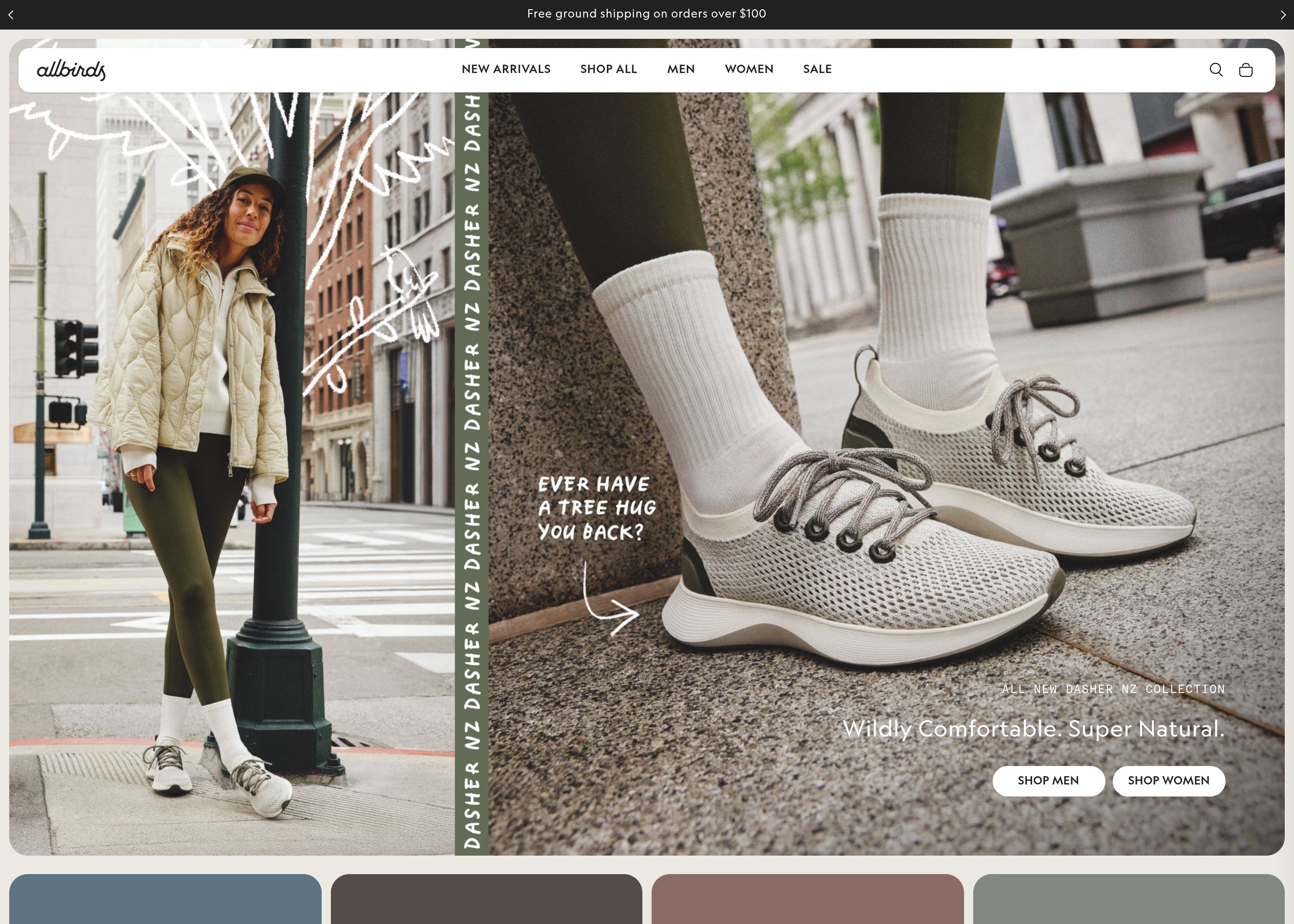 Allbirds Shopify store preview